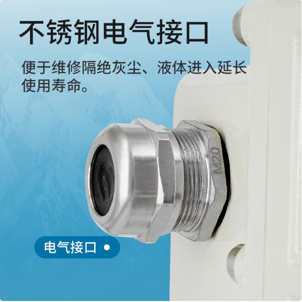 LLQ氣體羅茨腰輪流量計(jì)