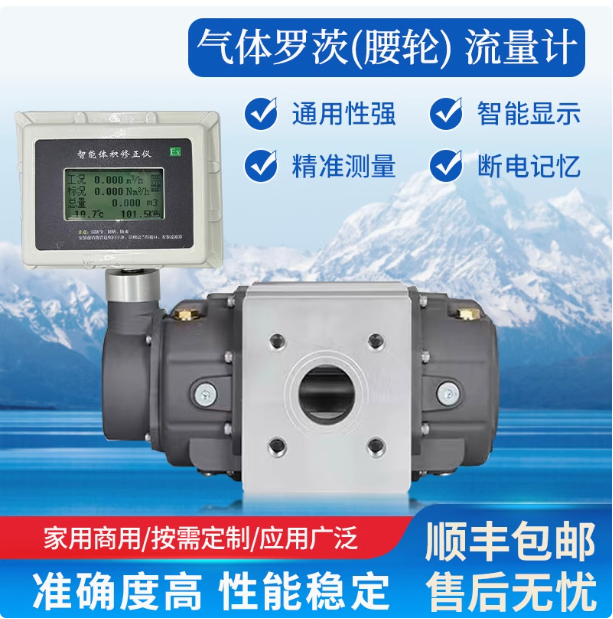 LLQ-150氣體羅茨腰輪流量計(jì)...