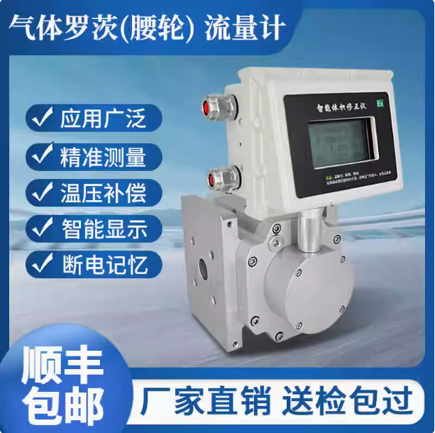 LLQ-250氣體羅茨腰輪流量計(jì)...
